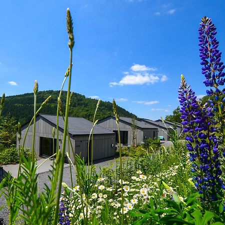 Sauerland Lodge - Haus Maxim ヴィンターベルク エクステリア 写真