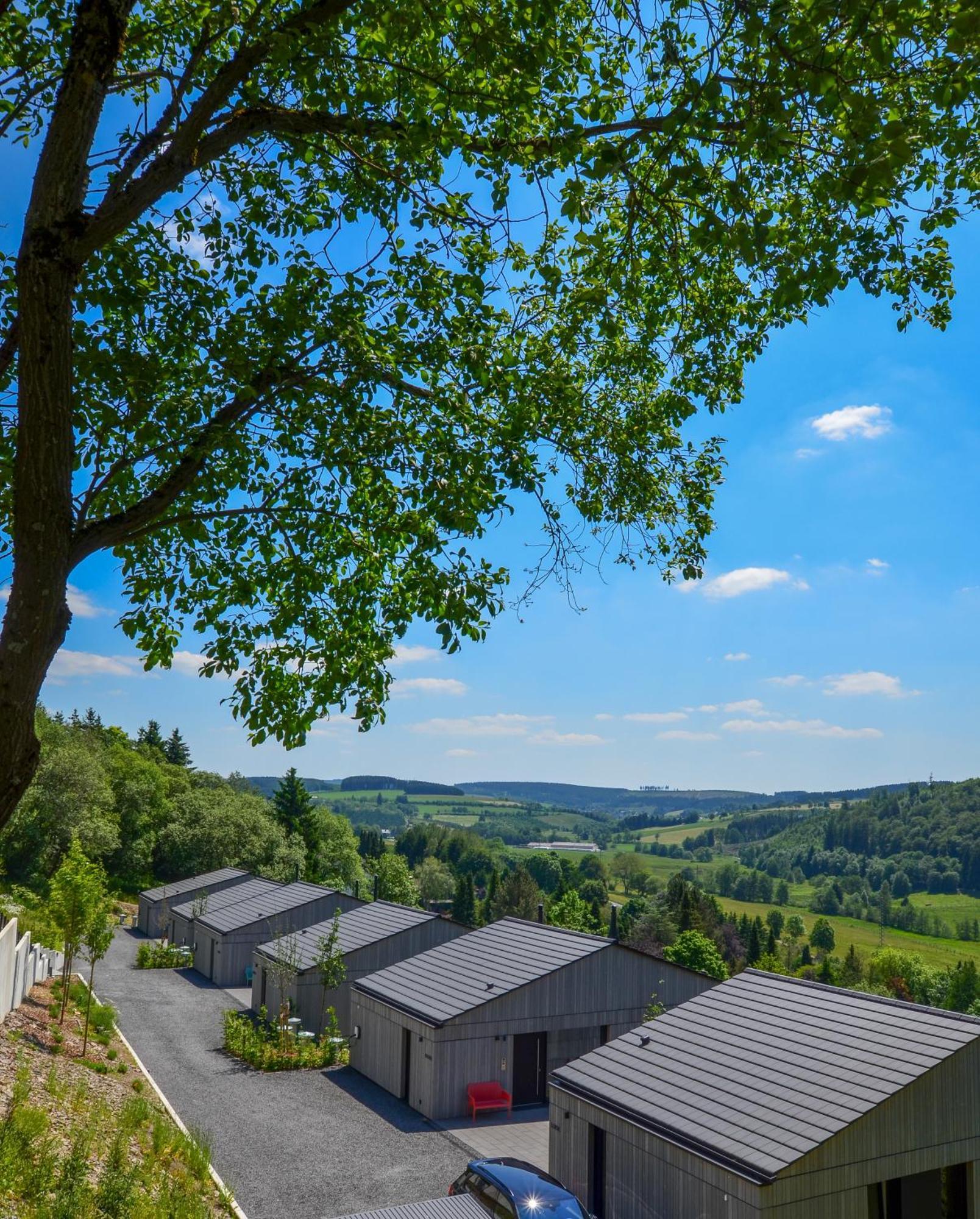 Sauerland Lodge - Haus Maxim ヴィンターベルク エクステリア 写真