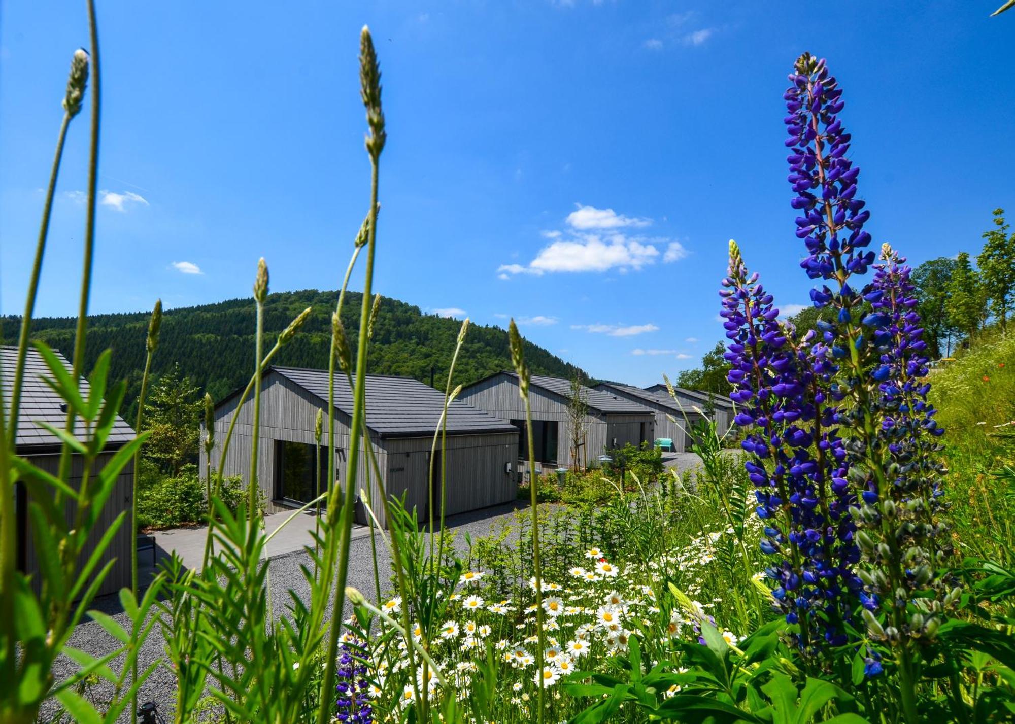 Sauerland Lodge - Haus Maxim ヴィンターベルク エクステリア 写真